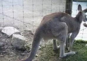 雅紅特  用8個小故事講透質量管理！